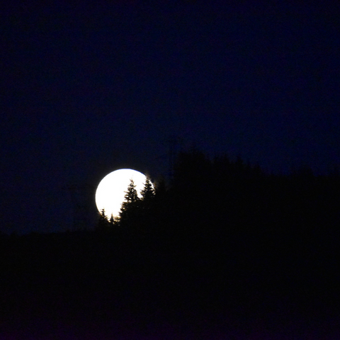 the full moon peaking out from behind a forested hill