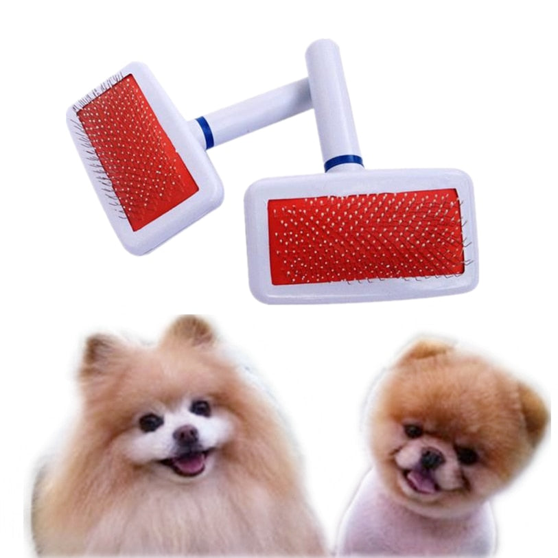 plastic dog brush