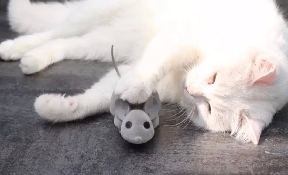 app controlled mouse cat toy