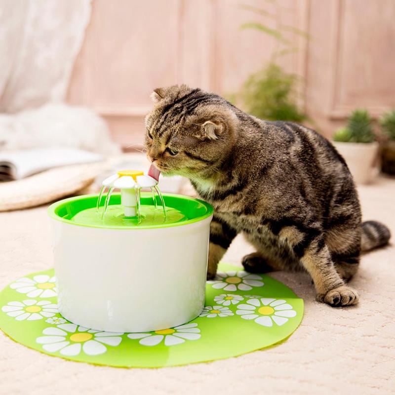 daisy cat water fountain filters