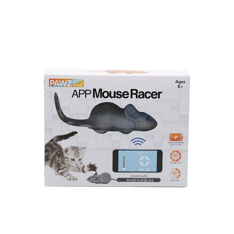 mouse hunt cat toy app