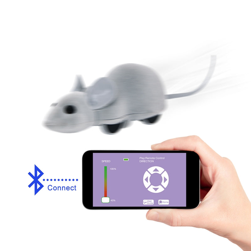 remote control mouse cat toy australia