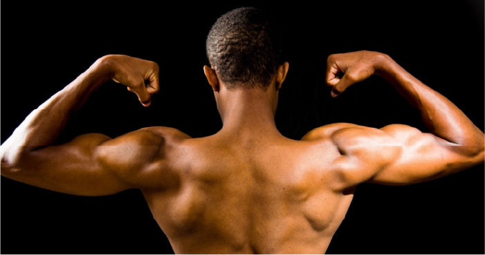 close up of muscular back