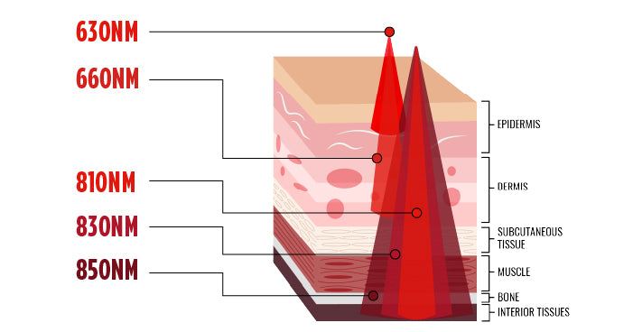 diagram of various red light wavelengths