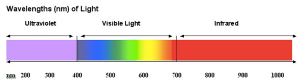 5 Best Wavelengths for Light Therapy: A Science-Backed Overview