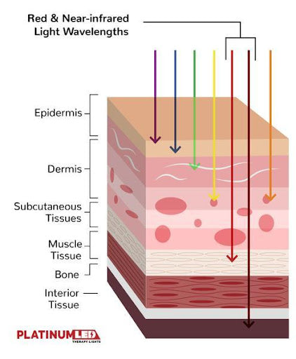 diagram of light interaction with skin layers