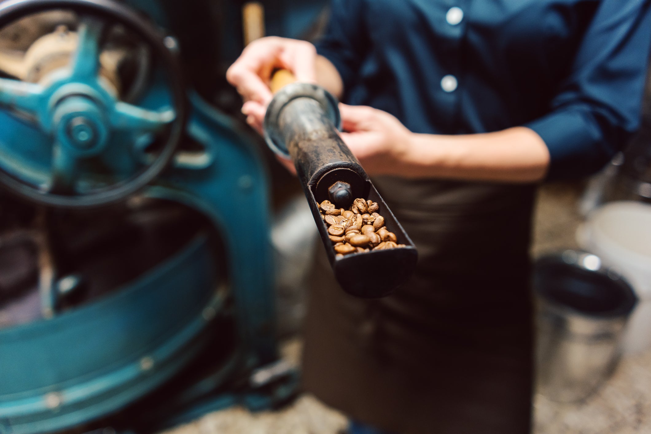 Checking a batch of freshly roasted coffee beans