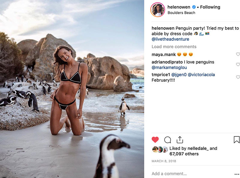 Most Instagrammed Beach Boulder Penguin Beach