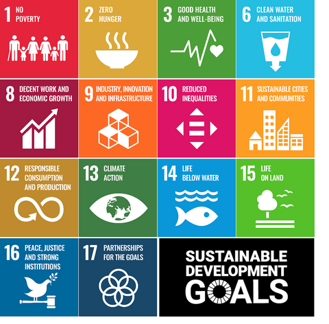 SDG global goals with seaweed