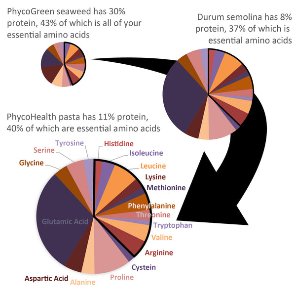 Nutritional profile of PhycoHealth Seaweed Pasta