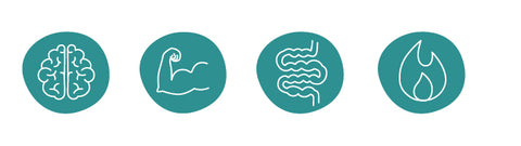 Sea Spirals Health Icons