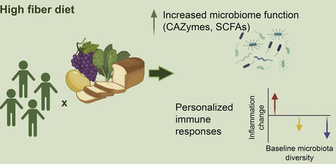 fibre diversity and gut and inflammation