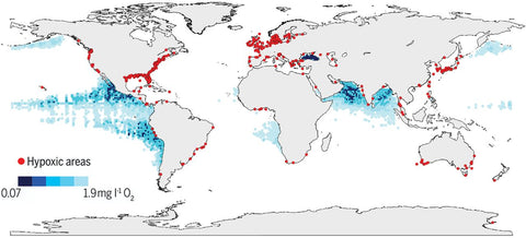 coastal deadzones