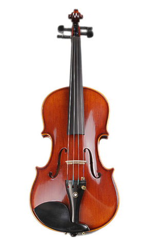 Buy & Wholesale Professional Solid Spruce & Ebony Whole Piece Back Violin Different Sizes with Accessories
