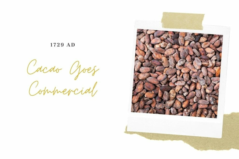 Cacao Goes Commercial
