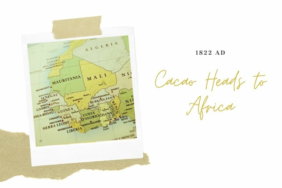 Cacao Heads to Africa