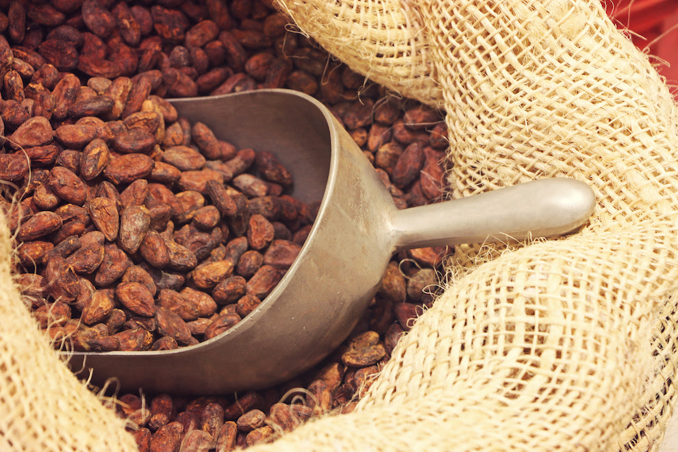 Photograph of a burlap sack filled with cacao beans, with a metal scoop pushed halfway into the cacao beans.