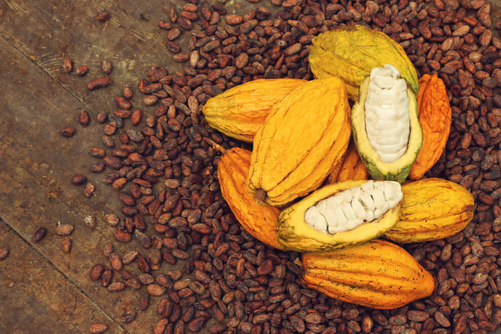 Nacional cacao pods sit atop a bed of cacao beans on a wooden surface