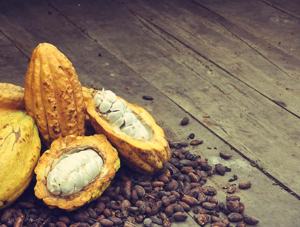 Cacao pods
