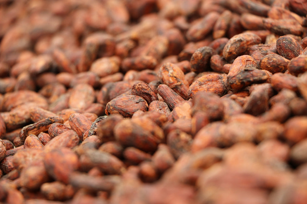 close-up pile of cacao beans