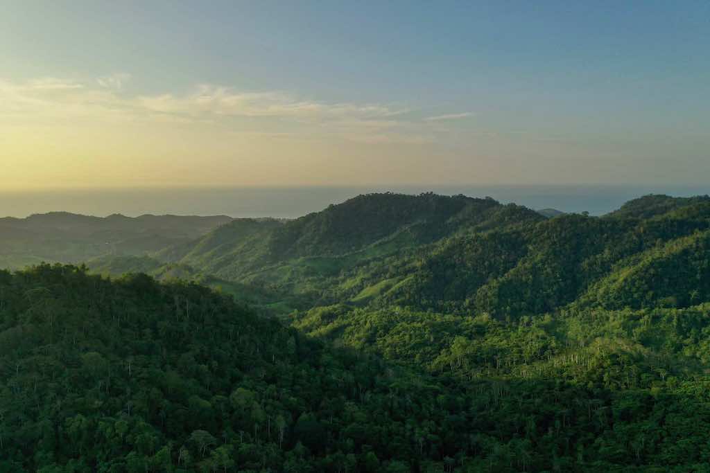 view of Pacific Forest of Ecuador with mountains and ocean