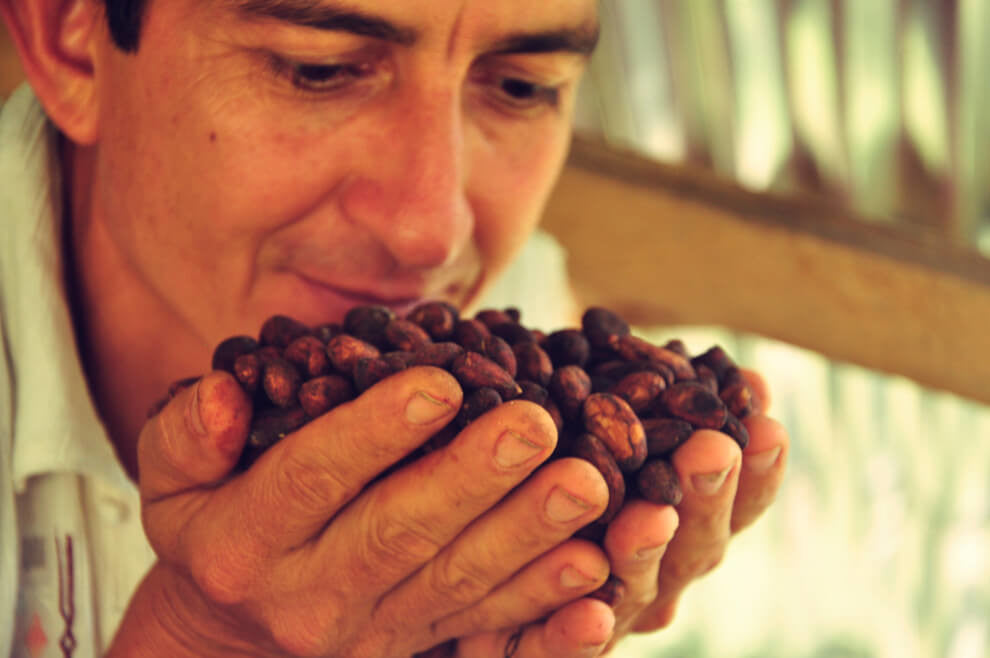 A To'ak farmer uses both hands to hold cacao beans close to his face