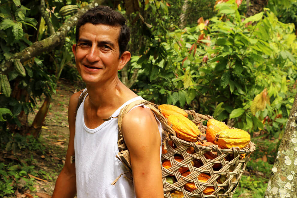 A farmer, Servio, stands smiling at the camera, a basket of cacao pods strapped to his back