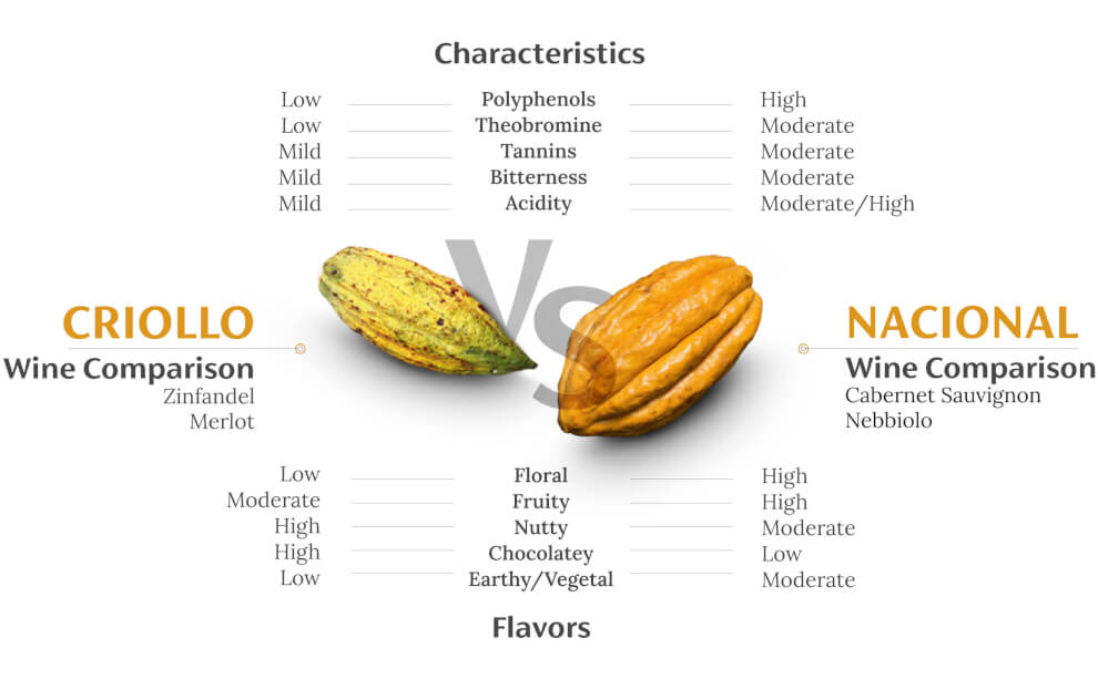 a visual comparison of the two best cacao varieties in the world 