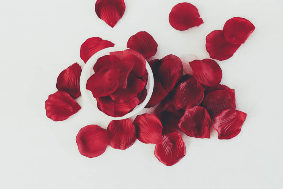 rose petals on a white background | To'ak Chocolate