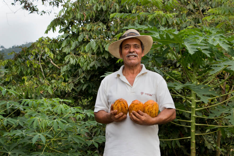 A farmer stands grinning with three cacao pods in hand. Behind him lies the verdant forest