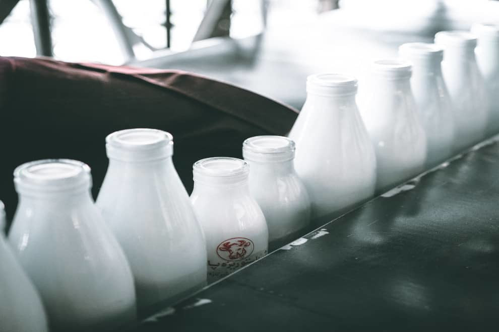 glass milk bottles arranged in a line