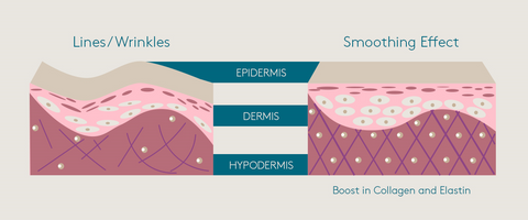 peptides, different types of peptides