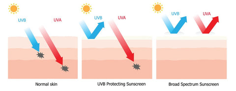 uvb, uva, sun protection, spf rating, broad-spectrum spf