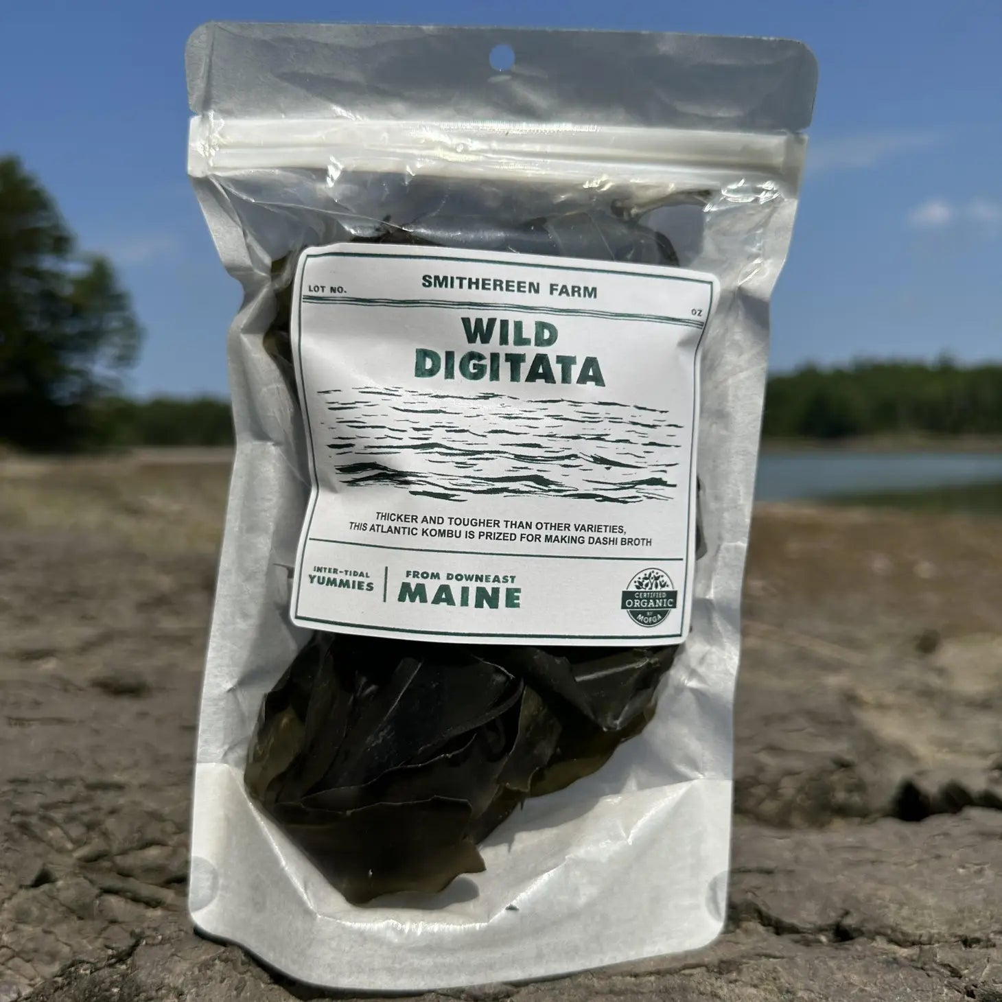 Wild Digitata Kelp - Smithereen Farm (kombu)