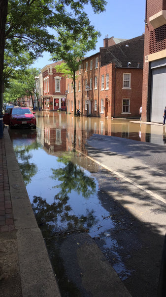 Old Town Alexandria flooded