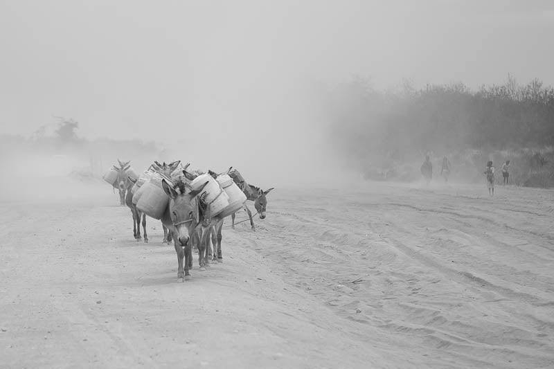 Donkeys Water to Mines