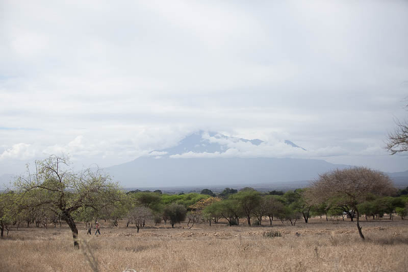 Mr Meru Tanzania Tanzanite