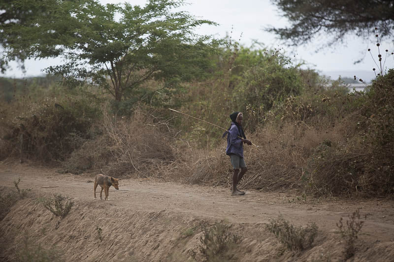 Tanzania Local