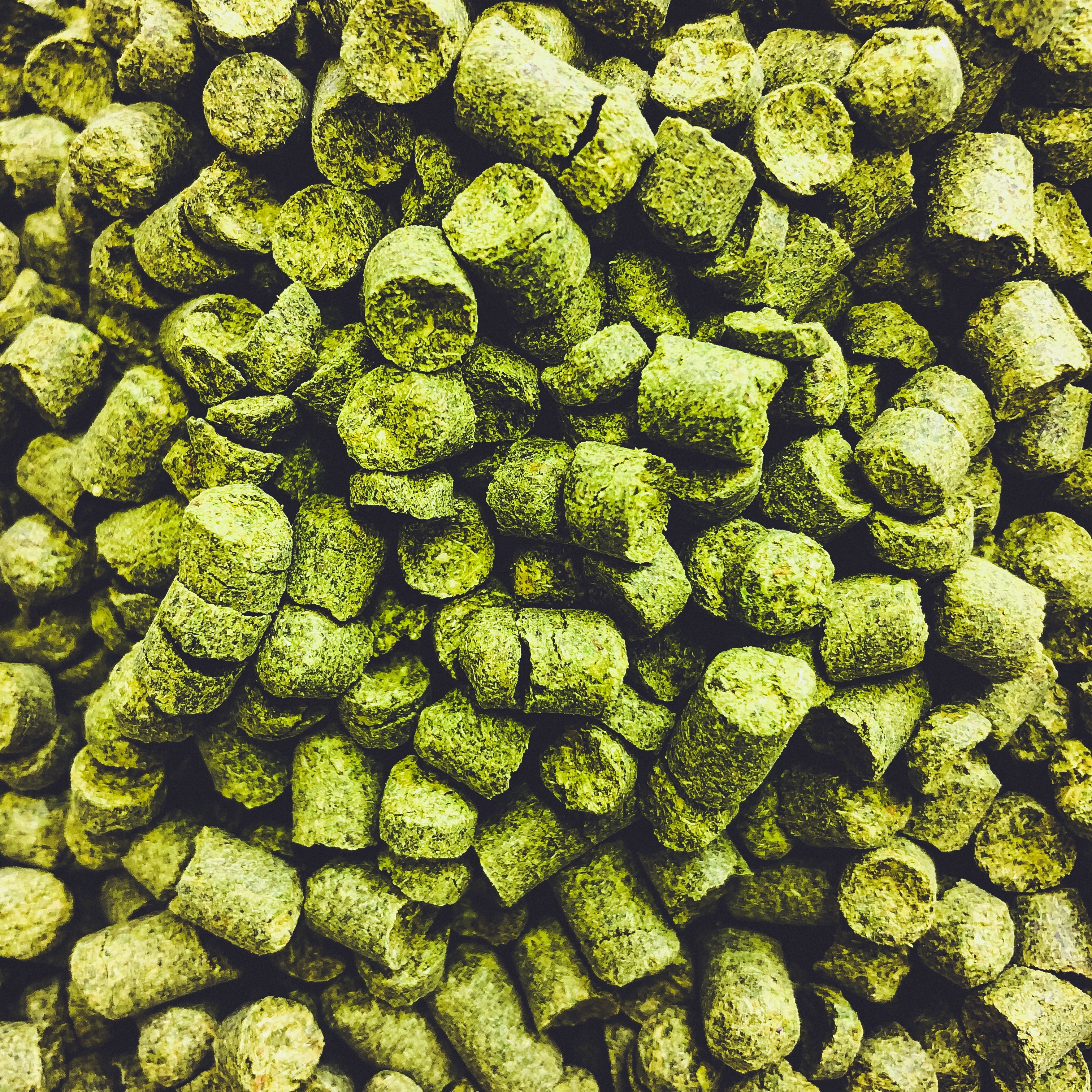 Lots of new hops for our beers!