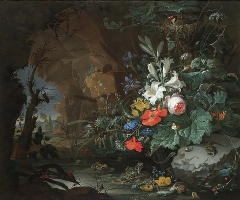 Interieur van een grot met een rotspoel, kikkers, salamanders en een vogelnest.