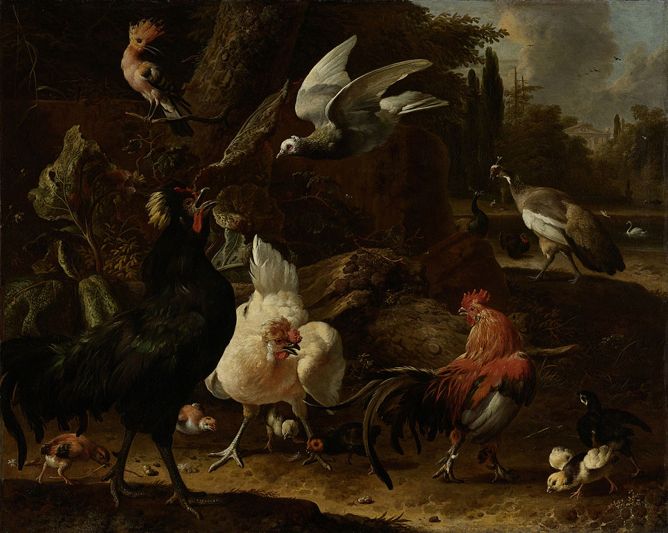 Vogels in een park (Melchior d'Hondecoeter)