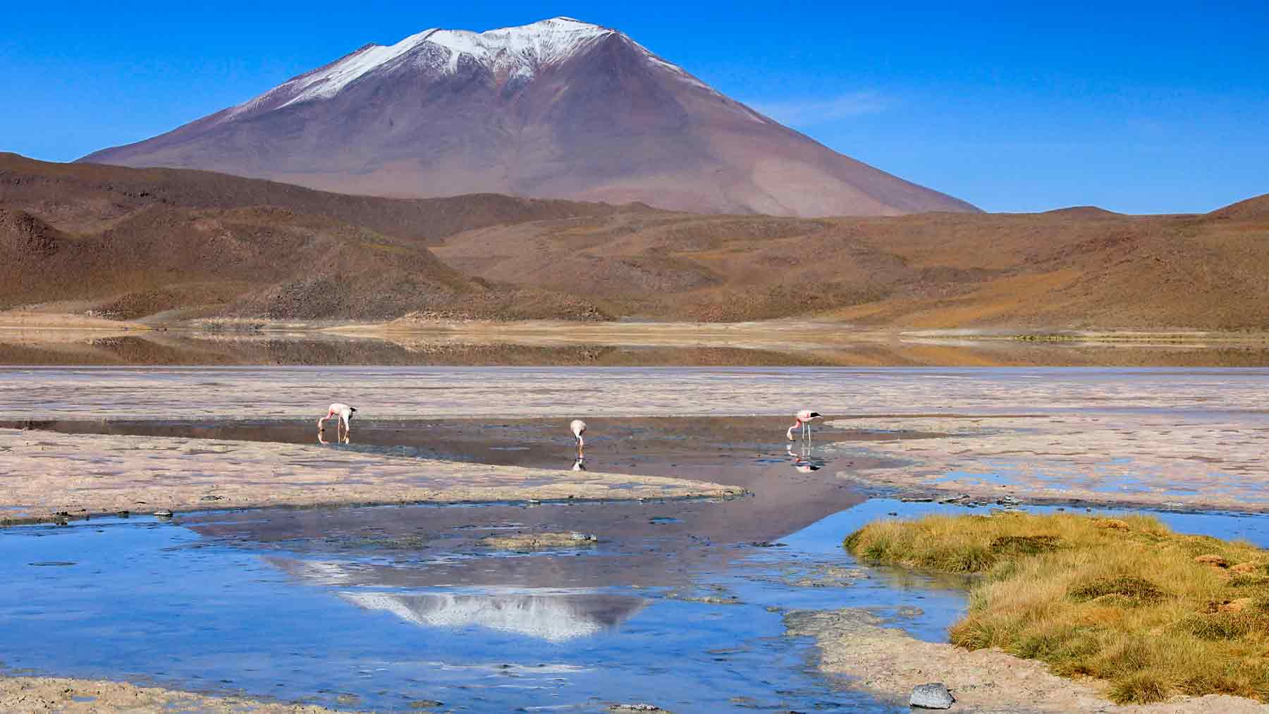 Eduardo Avaroa National Park Bolivia mountain reflections flamingos