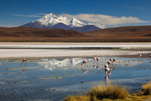 Snow capped volcano reflected in a still lake with pink flamingoes in Eduardo Avaroa National Park in Boliva