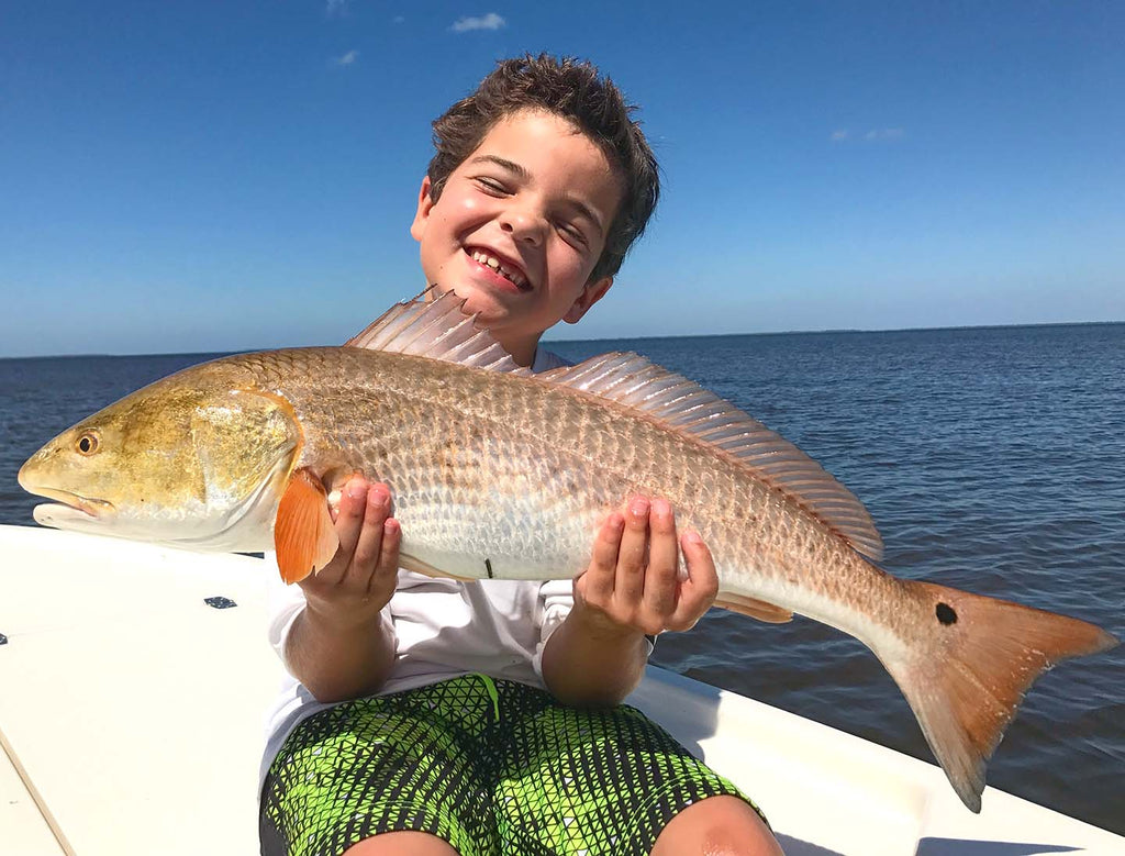 Best Lures for Targeting Redfish in the Gulf out of Cedar Key