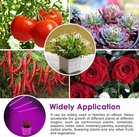 Led plant grow lights, led plant grow light bulb, led plant grow light strip, led plant grow light panel | DAILY DEAL ME