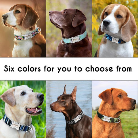 ANTI-LOST PERSONALIZED DOG COLLAR, personalized dog collar, anti lost dog collar | DAILY DEAL ME