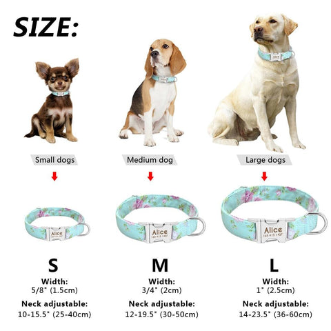 ANTI-LOST PERSONALIZED DOG COLLAR, personalized dog collar, anti lost dog collar | DAILY DEAL ME