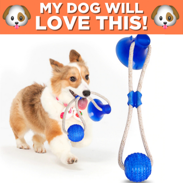 dog suction ball