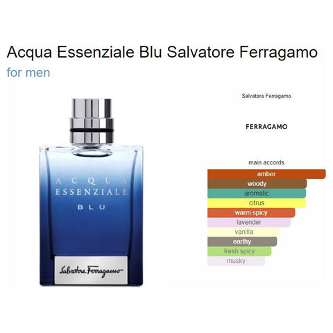 Bronze Ferragamo Uomo – EDP Salvatore Signature