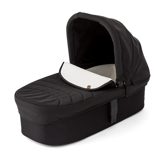 carry on bassinet